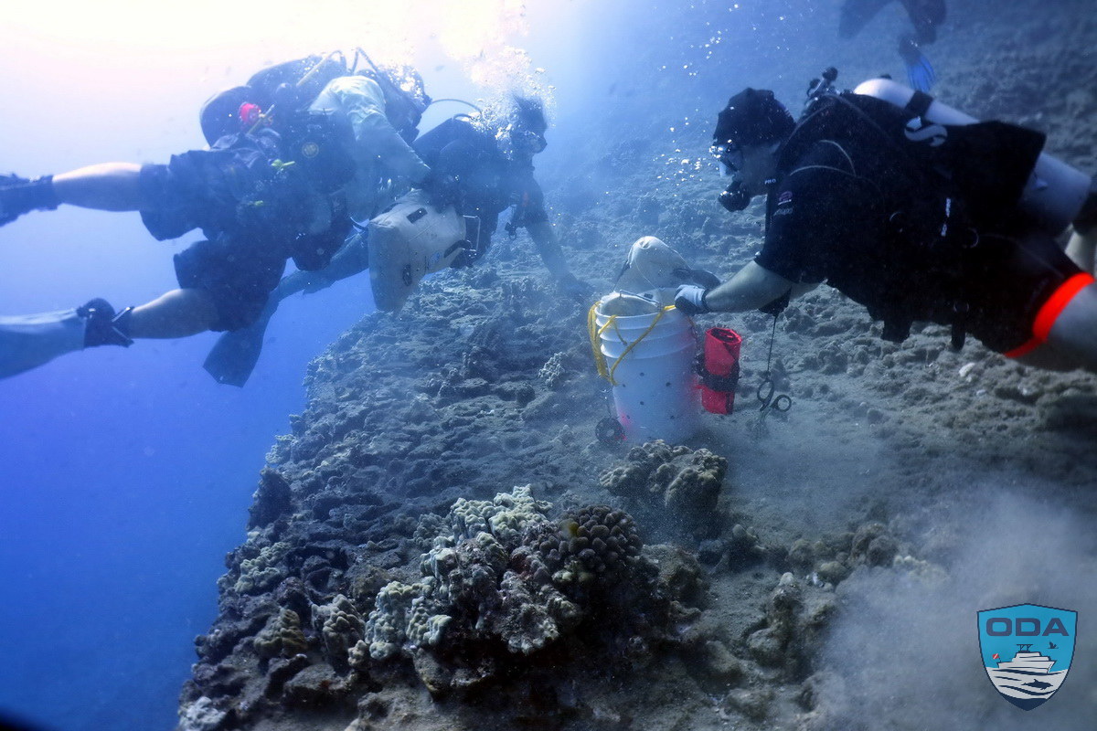 https://www.oceandefenders.org/images/news/2023/2023-01-25/news-2023-01-25-22-UW-Divers-removing-debris-1LR-1200w.jpg