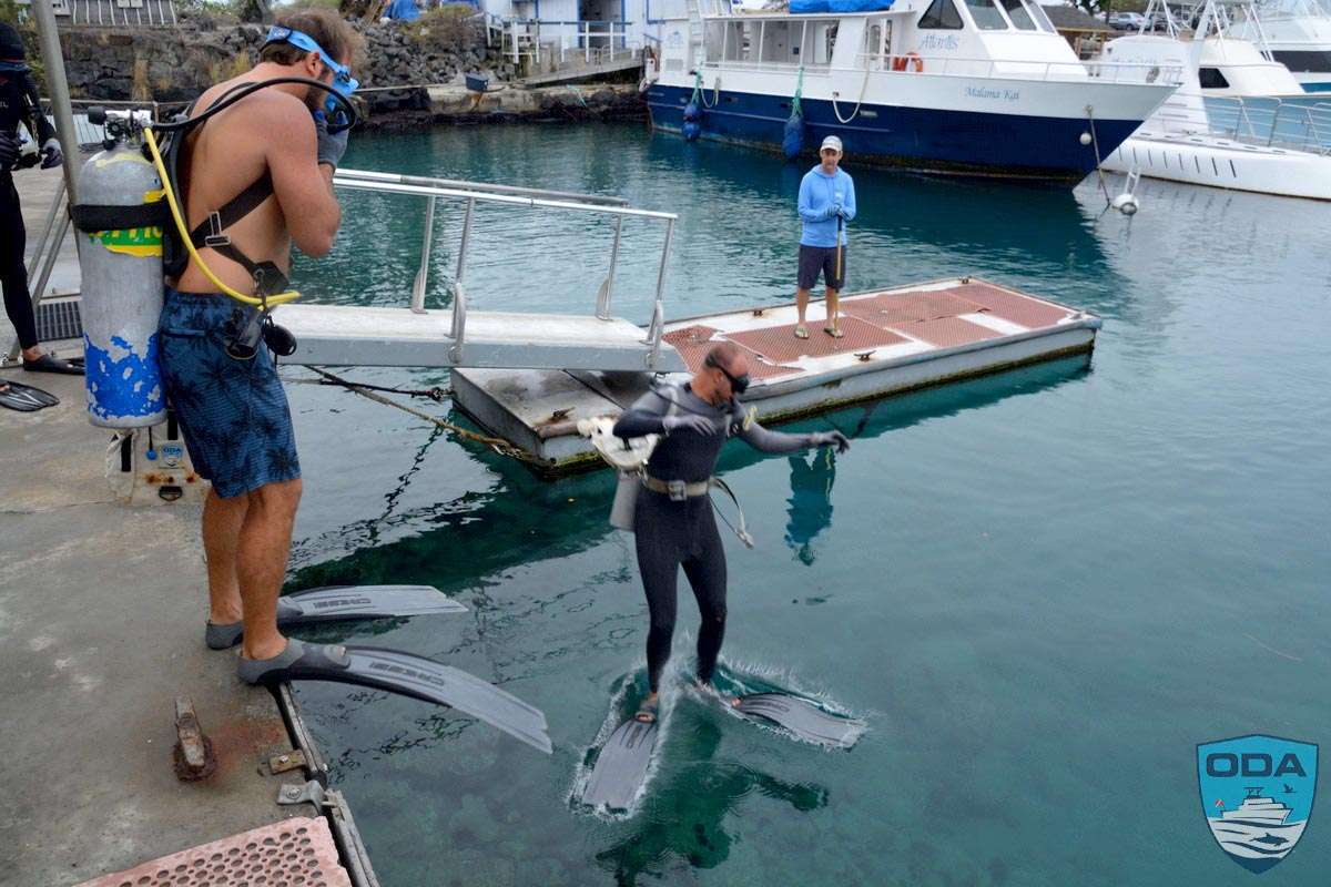 Ocean Cleanup Divers splashing in